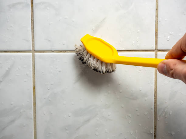 Best Fast Mold Removal  in Wetumka, OK