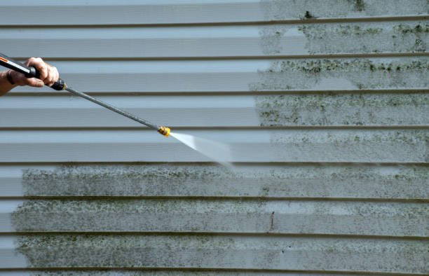 Best Attic Mold Removal  in Wetumka, OK