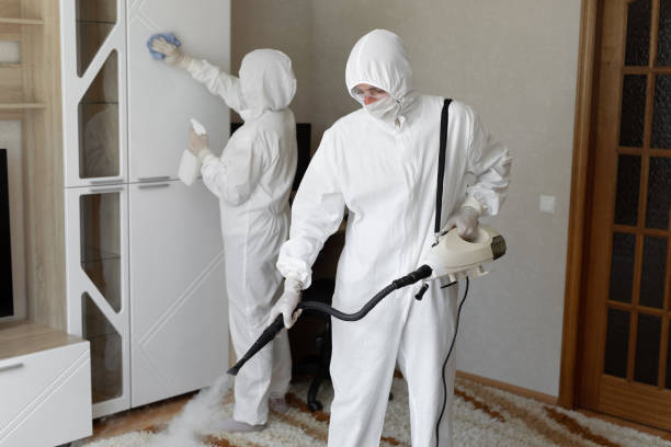 Best Commercial Mold Removal  in Wetumka, OK