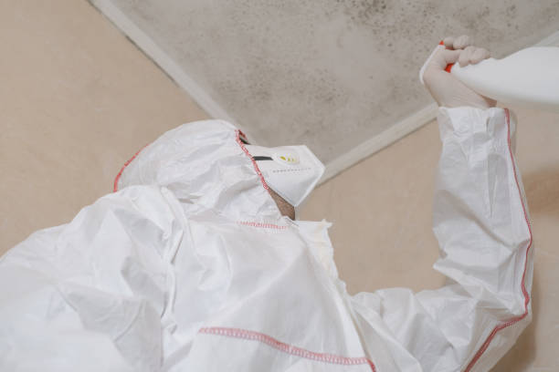 Best Certified Mold Removal  in Wetumka, OK