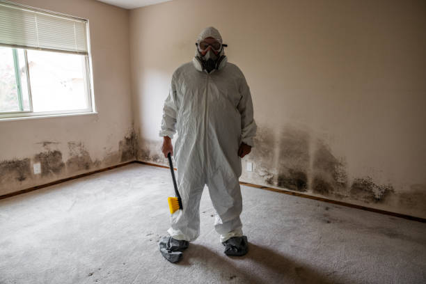 Best Affordable Mold Removal  in Wetumka, OK